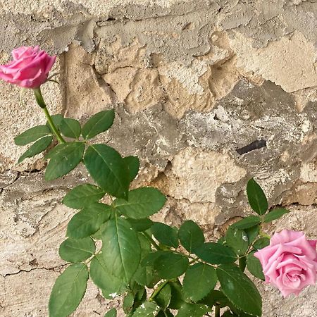 Aletheia Daire Brindisi Dış mekan fotoğraf